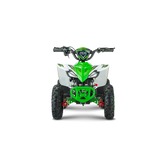 ATV Copii FV1000, 800W, 36V (12V, 12 Ah), 25 km/h