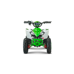 ATV Copii FV1000, 800W, 36V (12V, 12 Ah), 25 km/h