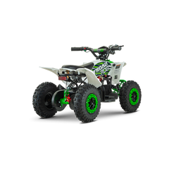 ATV Copii FV1000, 800W, 36V (12V, 12 Ah), 25 km/h