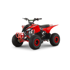 ATV de copii RDB-AZ110, 110cc, 4 Timpi