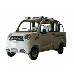 RDB Comby, Mașina Electrica Fără Permis,72V 58Ah, 3000W, Max, 4 locuri