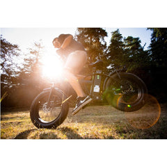 Volta VB2 - Bicicleta electrica , Shimano, B2 - 250W (800 W)