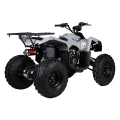 ATV RE-Volt 250  CC , cutie automata