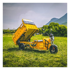 AMR 400, Triciclu Electric, Basculabil, Fără Permis, 25km/h, Omologat RAR, 3900W - Tancul Rusesc, 60AH, 72V, Carte RAR Gratuită