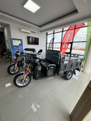 AMR 300, Triciclu electric, Basculabil, fără permis, 25KM/H, omologat RAR, 2600W, Carte RAR Gratuită