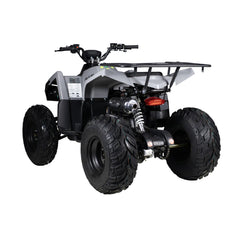 ATV RE-Volt 250  CC , cutie automata